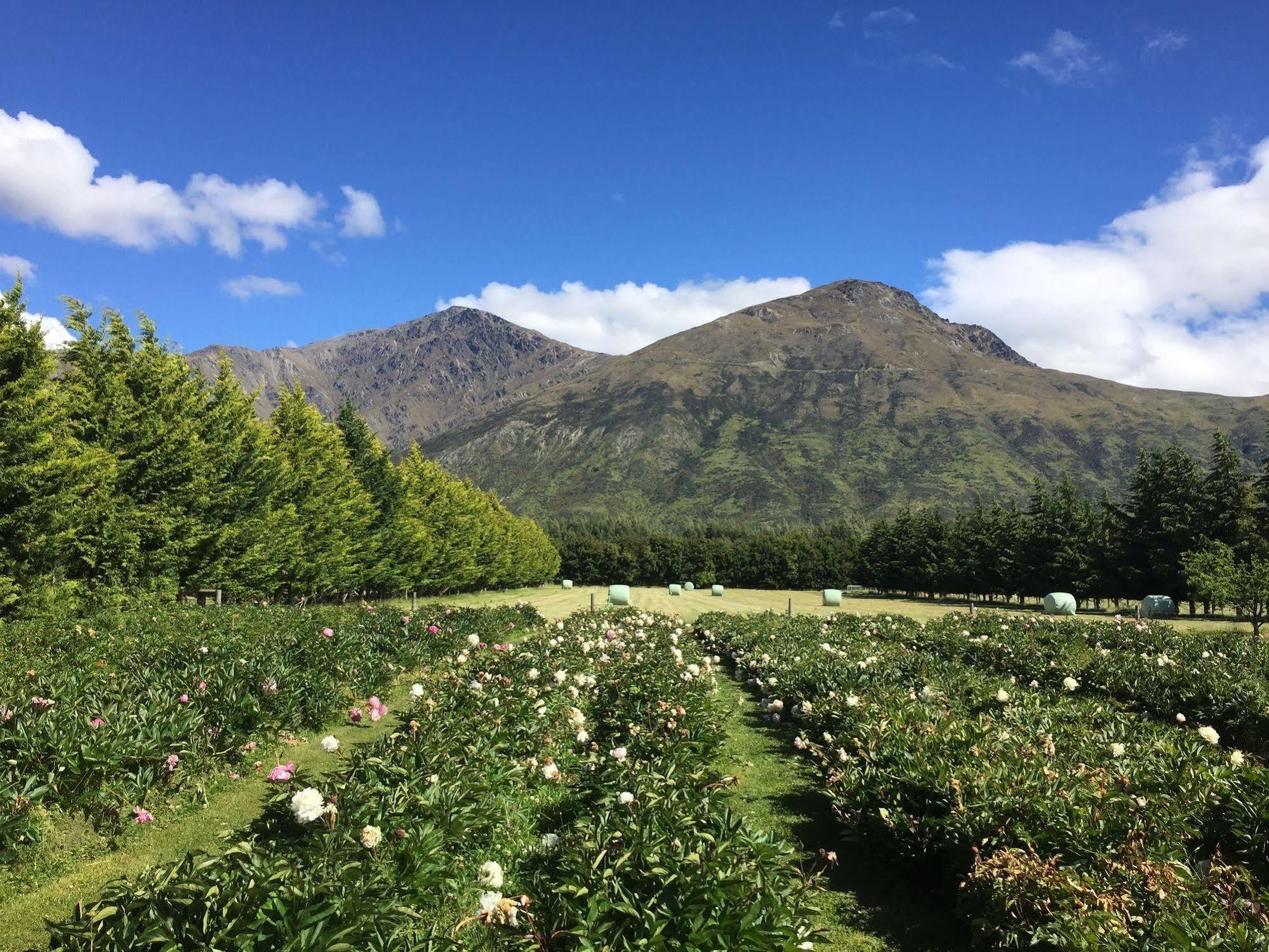 Queenstown Country Lodge Lake Hayes Eksteriør billede